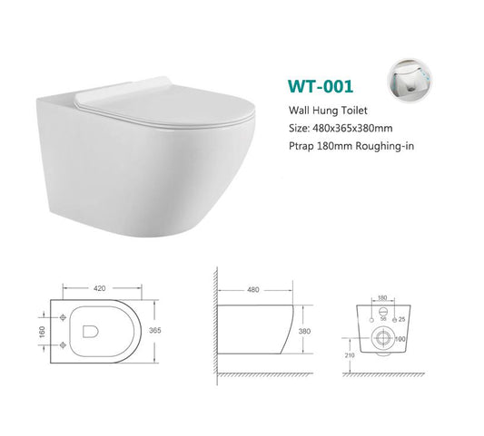 WALL HUNG TOILET SEAT WT-001