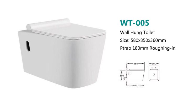 WALL HUNG TOILET SEAT WT-005